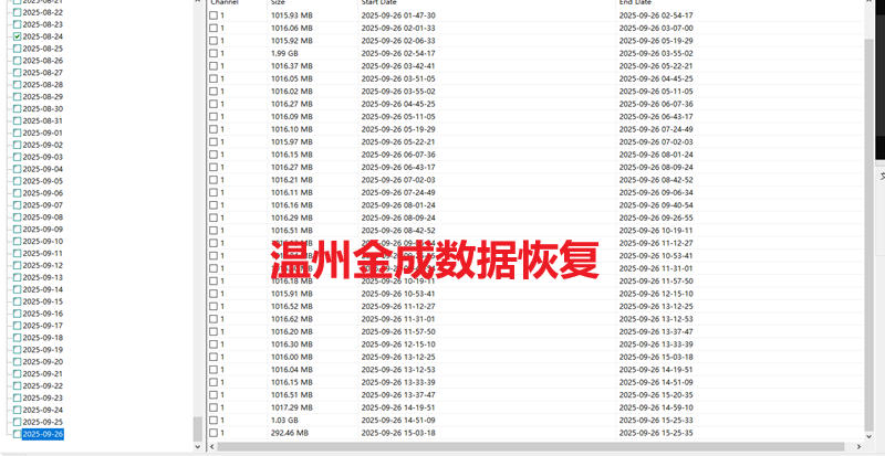 监控视频远程恢复成功